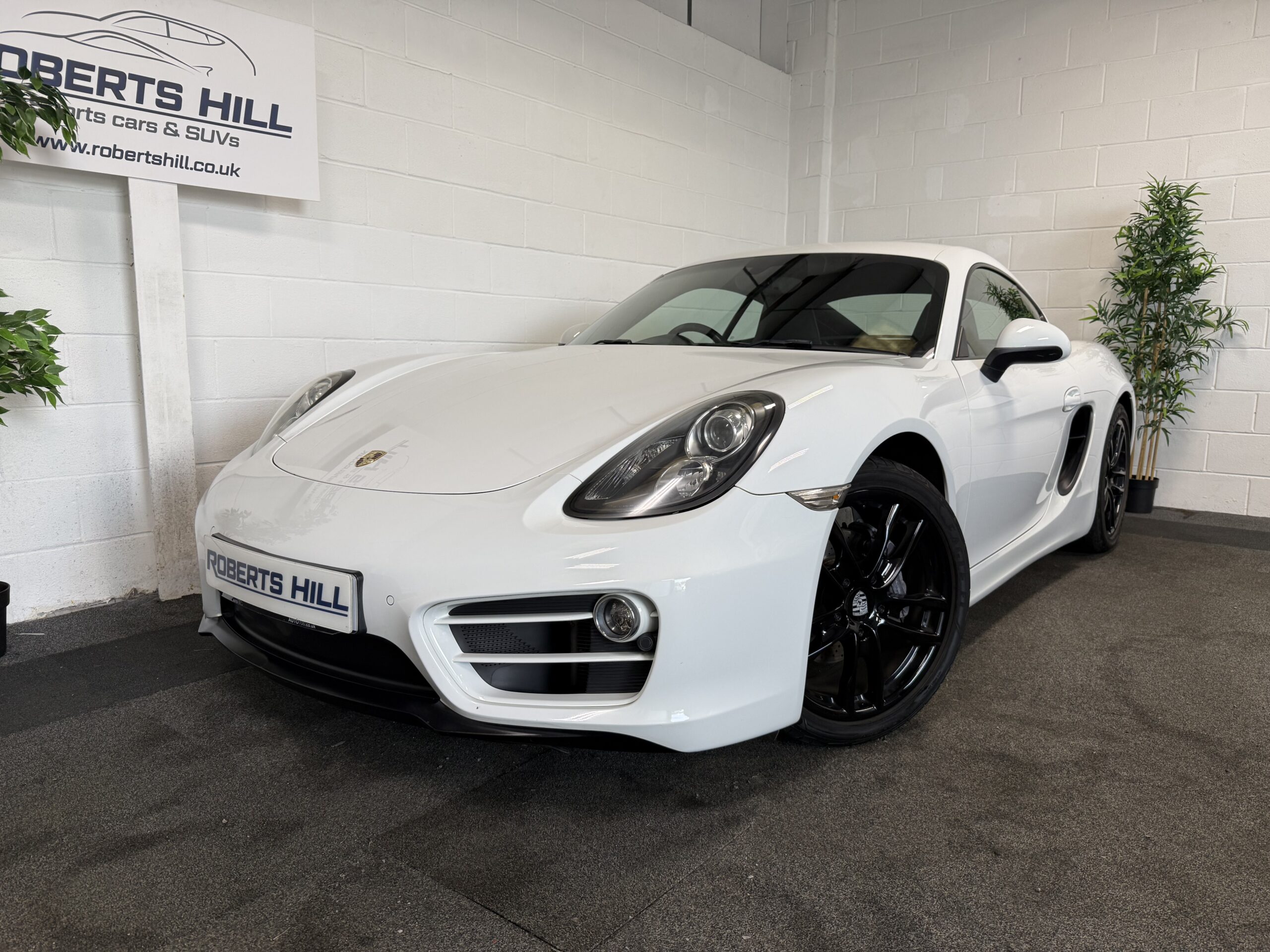 2013 Porsche Cayman 981