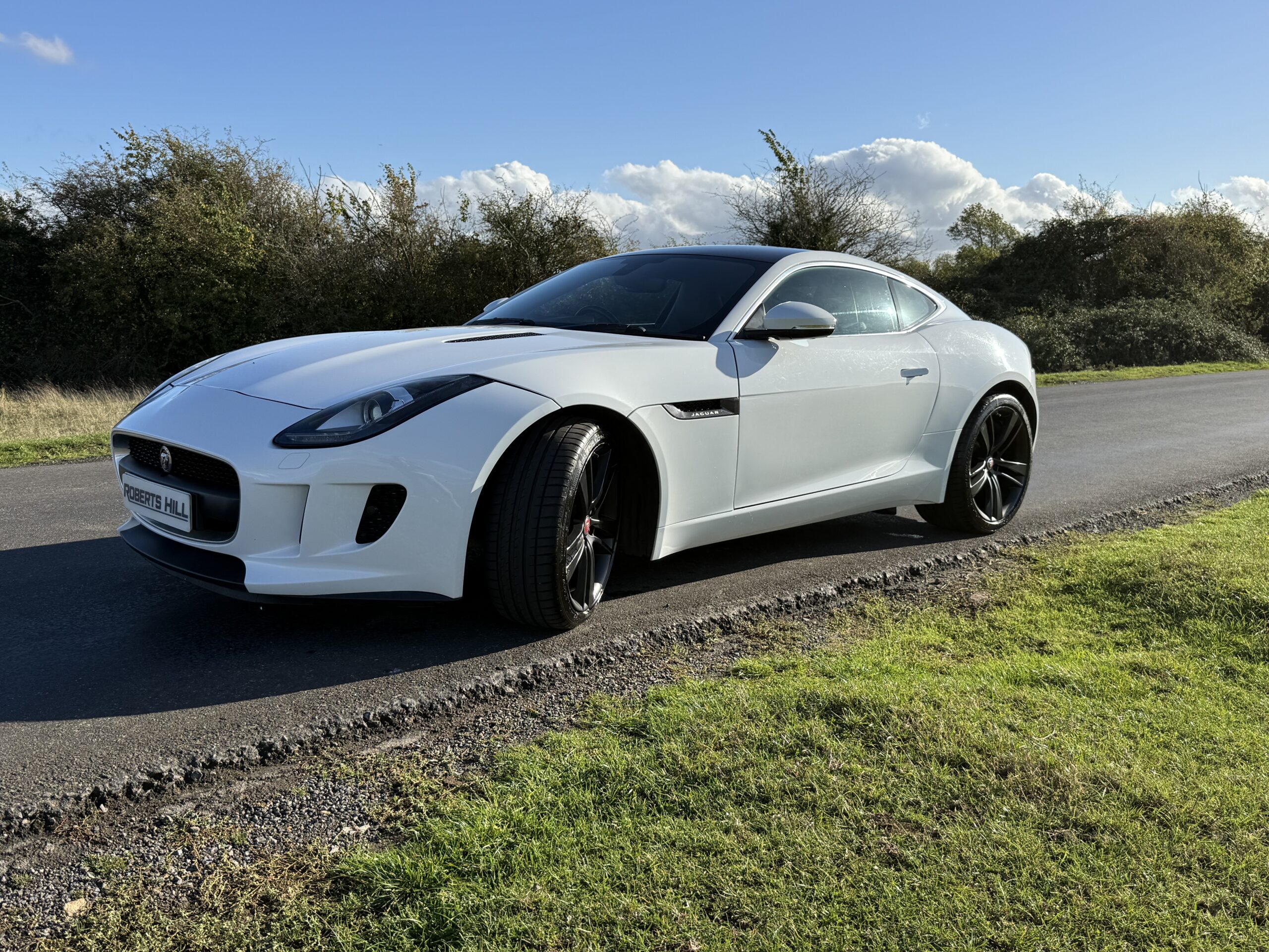 2014 Jaguar F-Type 3.0 V6