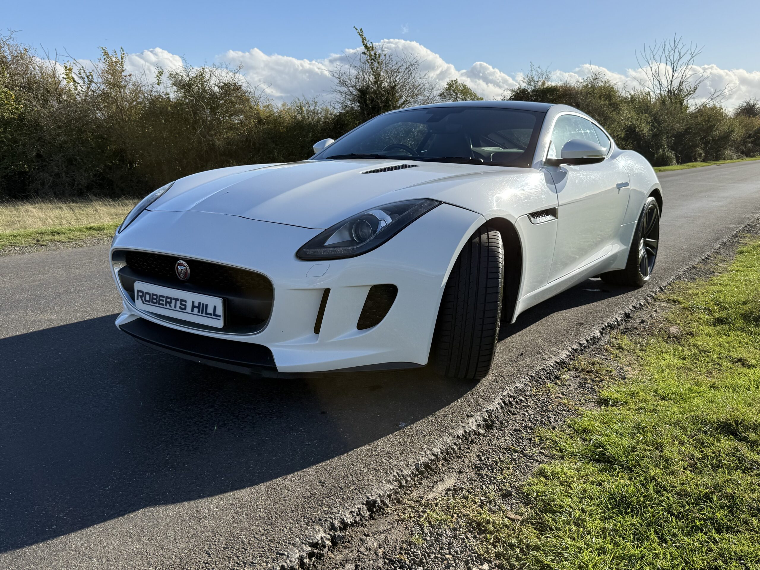 2014 Jaguar F-Type 3.0 V6